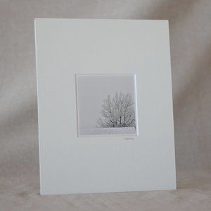 "Winter Study #4" Mini Photography Art Print